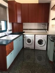 The Legend (D10), Condominium #583439741